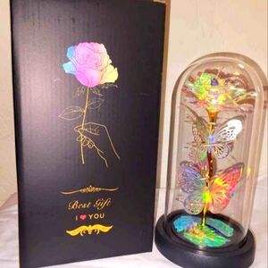 Rose Butterfly Light up globe  Great Gift Anniversary night light